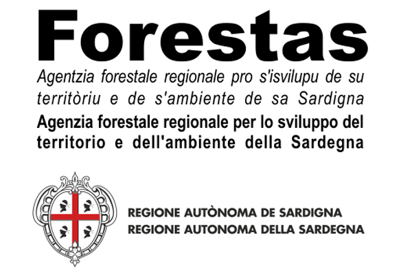 Forestas